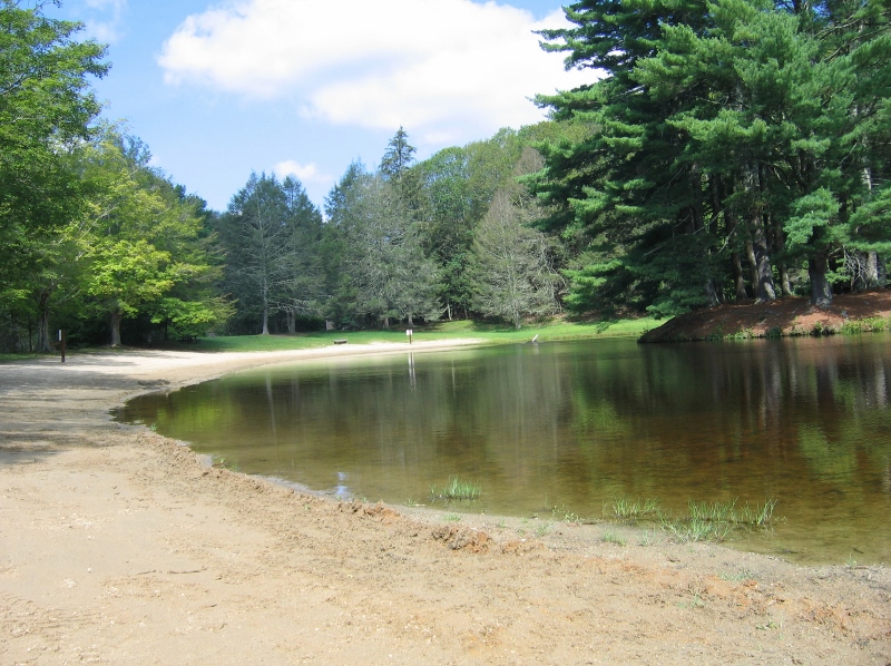 sitting by the pond